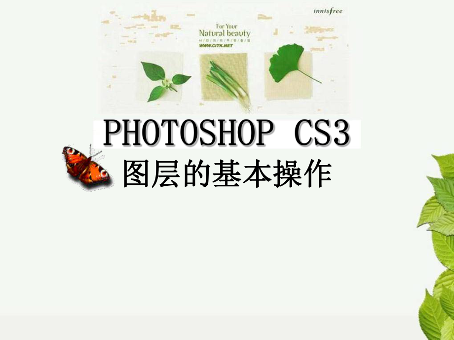 PHOTOSHOP图层说课课件(同名2265).ppt_第1页