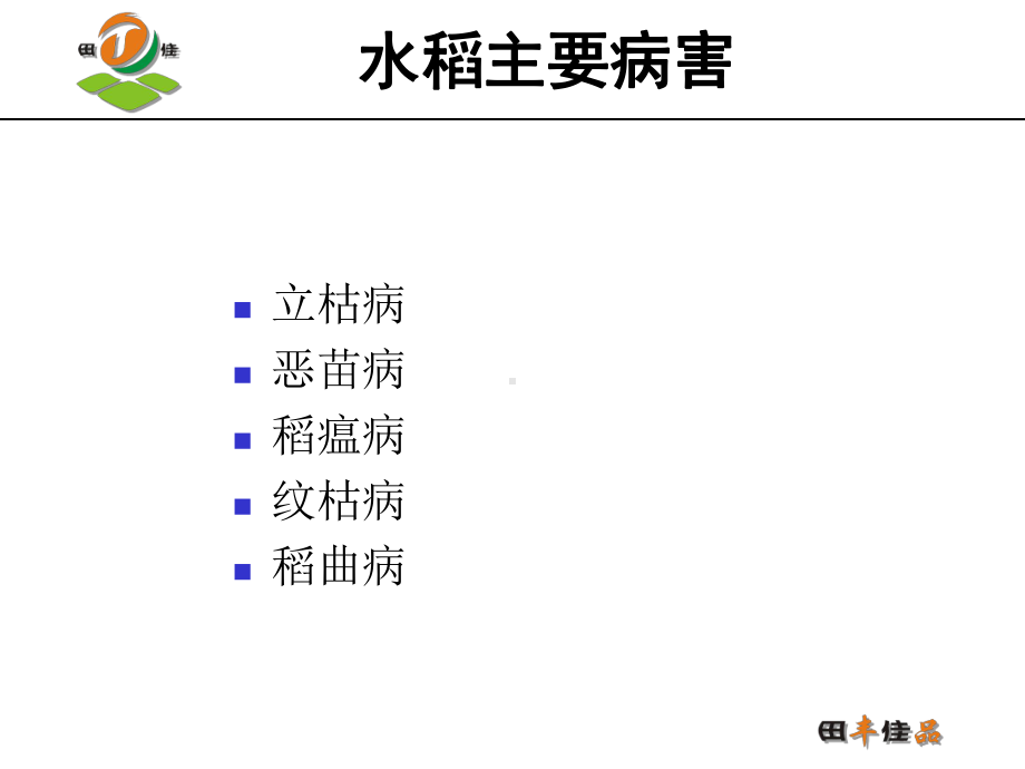 最新水稻全生育期主题讲座课件.ppt_第3页