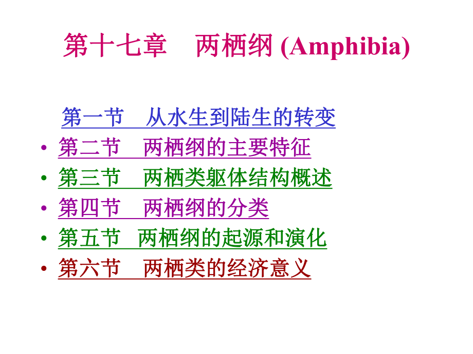 两栖纲课件.ppt_第1页