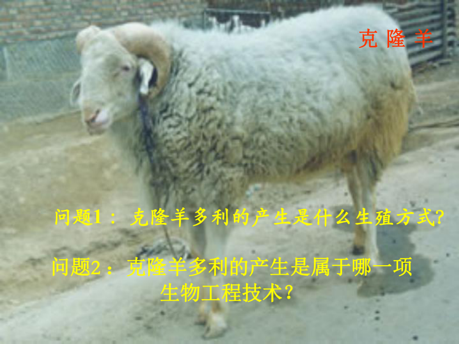 生物工程PPT课件.ppt_第1页