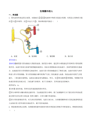 广西中考生物三年真题汇编 生物圈中的人（教师用卷）.pdf