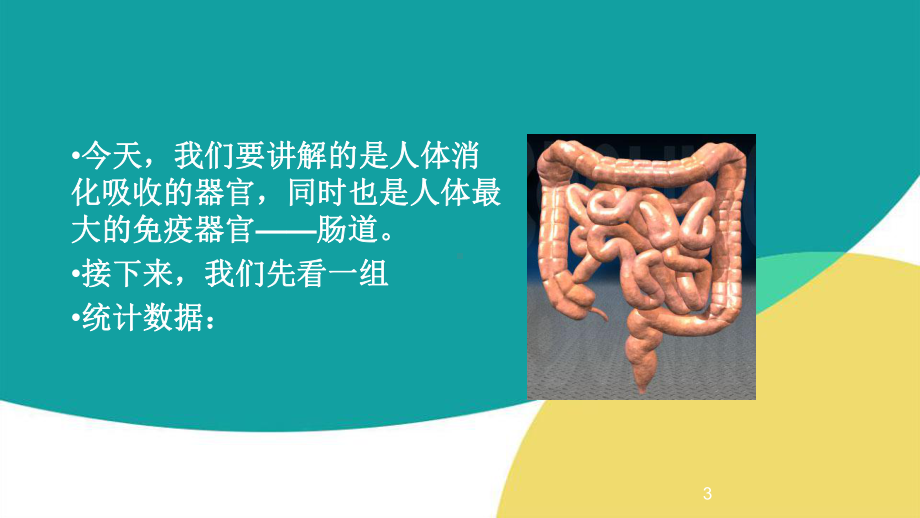 常见肠道疾病培训课件.ppt_第3页