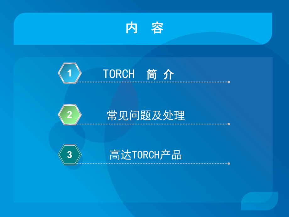 TORCH介绍-PPT课件.ppt_第1页