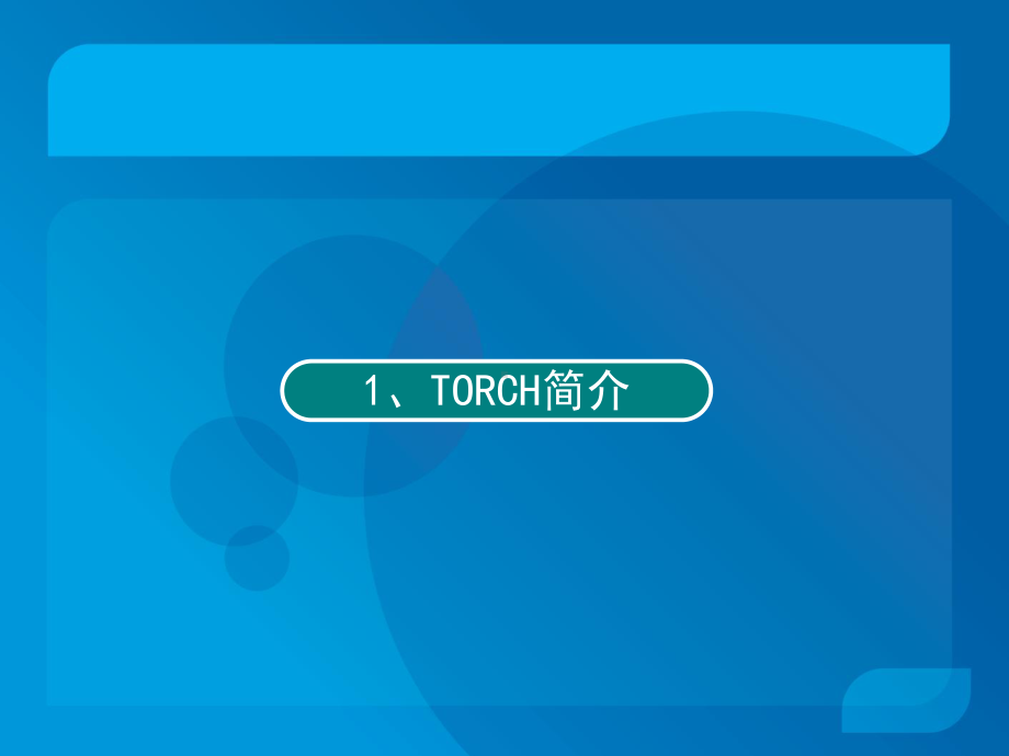 TORCH介绍-PPT课件.ppt_第2页