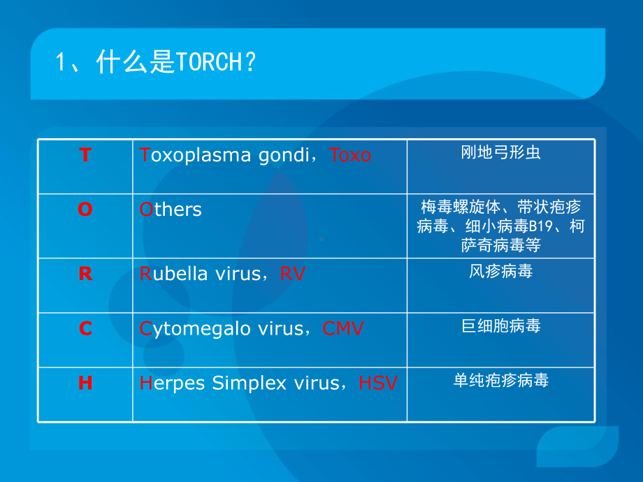 TORCH介绍-PPT课件.ppt_第3页