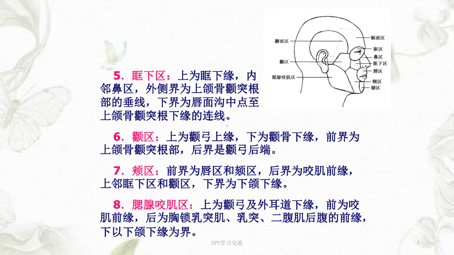 面部局部解剖学课件.ppt_第3页