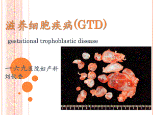 滋养细胞疾病4-PPT课件.ppt