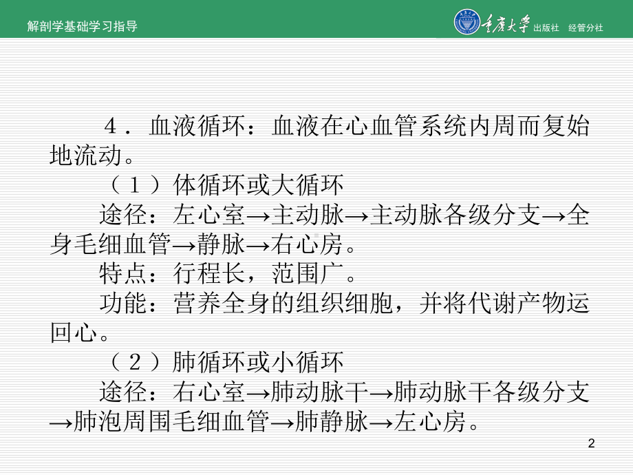 解剖学：脉管系统-PPT课件.ppt_第2页