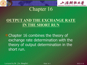 上财国际金融系主任金洪飞国际金融课件Chapter-16.ppt