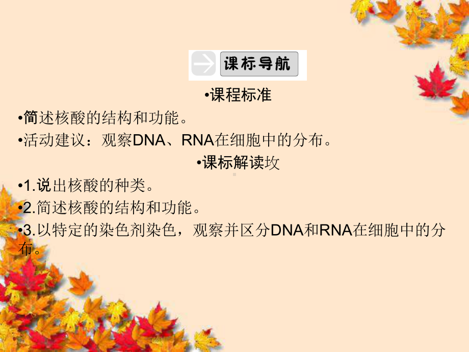 高效课堂同步课件：2-3遗传信息的携带者(必修1.ppt_第3页