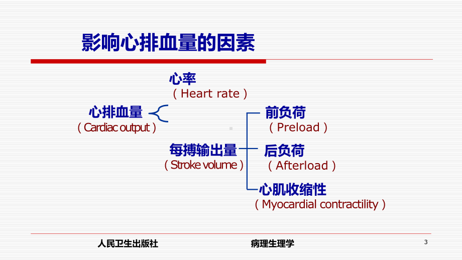 心功能不全ppt课件(同名2065).ppt_第3页