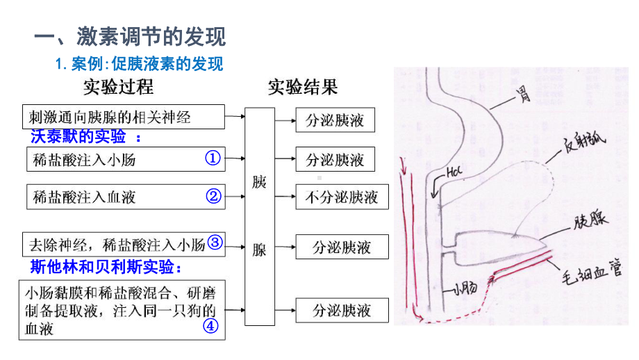 最新动物激素的种类和作用主题讲座课件.ppt_第1页