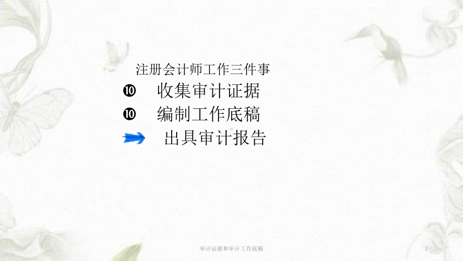 审计证据和审计工作底稿ppt课件.ppt_第3页