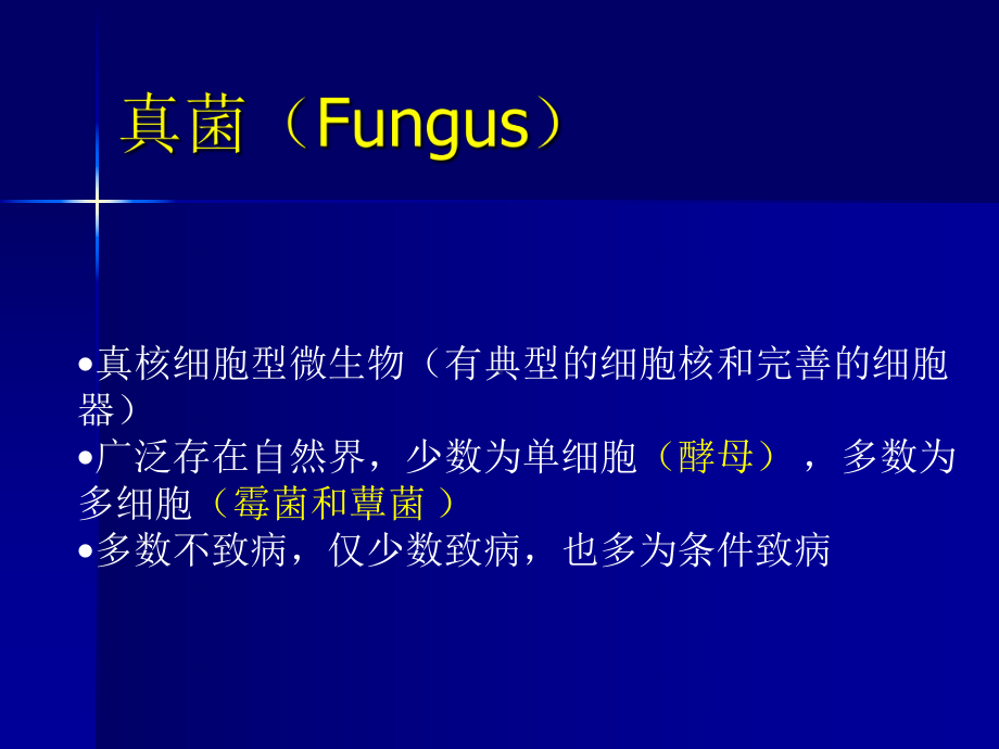 真菌概述-PPT课件.ppt_第1页