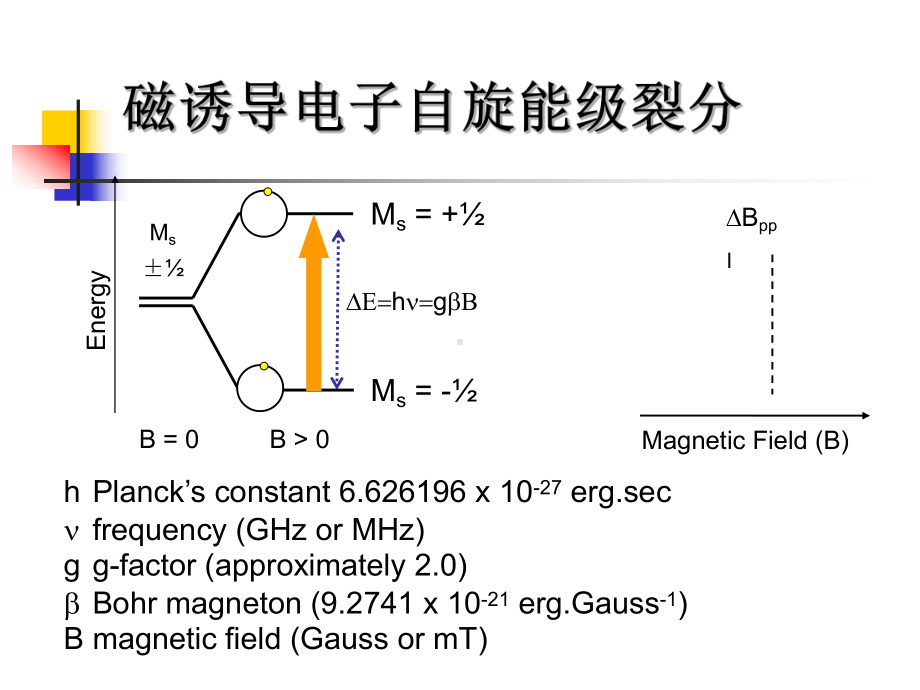 电子顺磁共振ESR教程专题培训课件.ppt_第2页