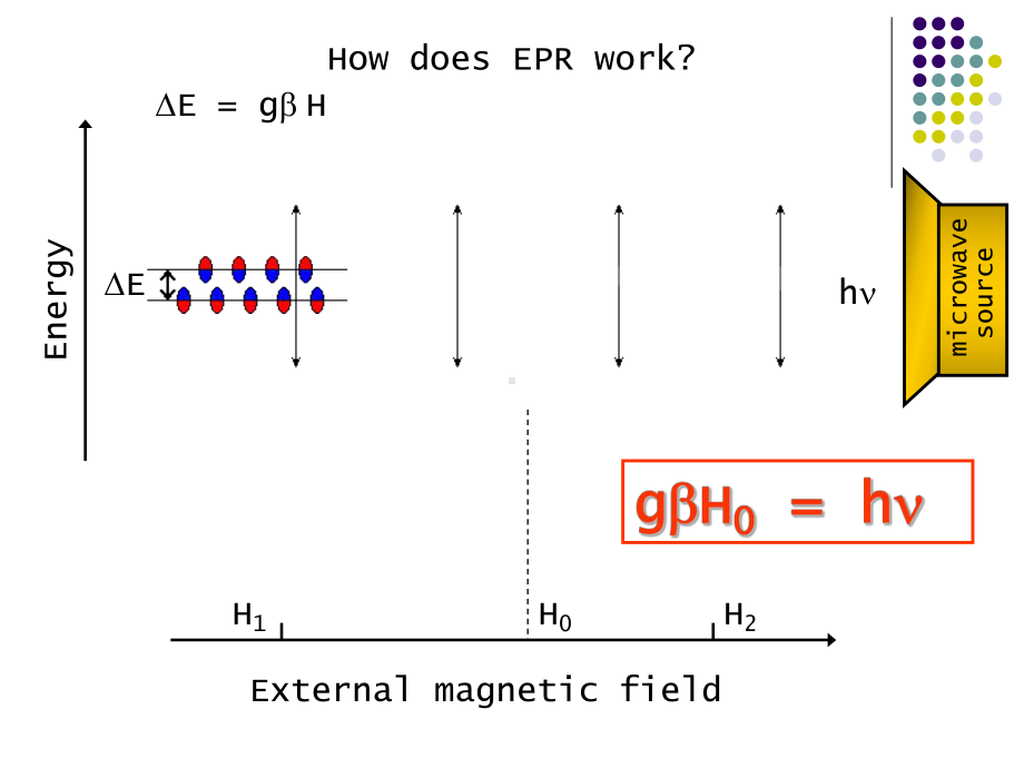 电子顺磁共振ESR教程专题培训课件.ppt_第3页