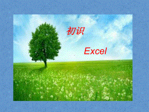 初识Excel课件-(1).ppt