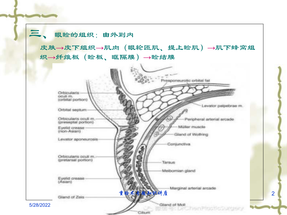 重睑术专题知识讲座培训课件.ppt_第2页