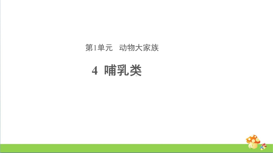 苏教版四年级上科学4哺乳类教学课件.pptx_第1页