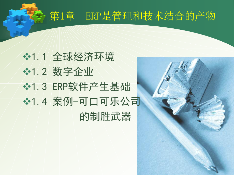 ERP原理-课件简介01.ppt_第3页