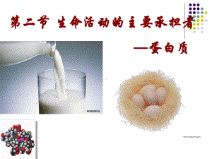 生命活动的主要承担者-蛋白质-PPT课件.ppt