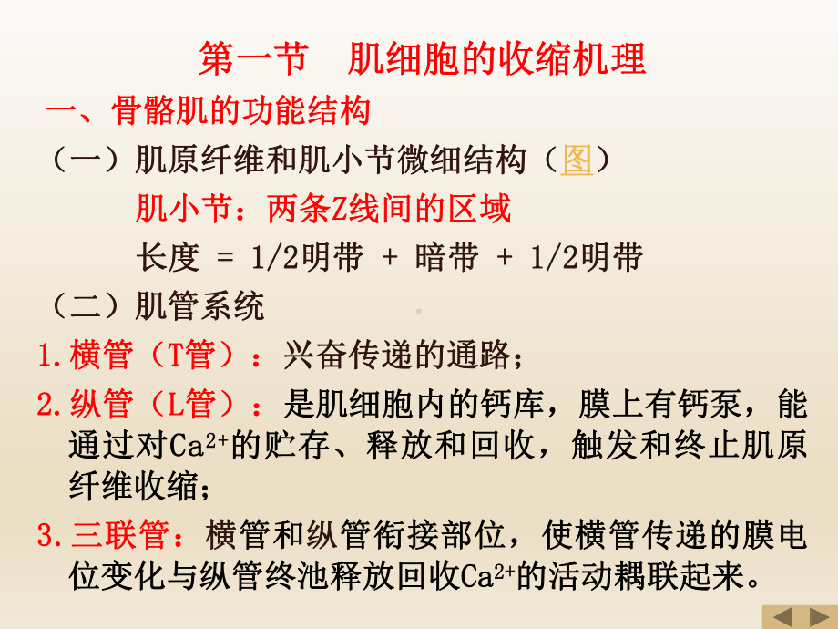 动物生理学全套课件(下).ppt_第3页