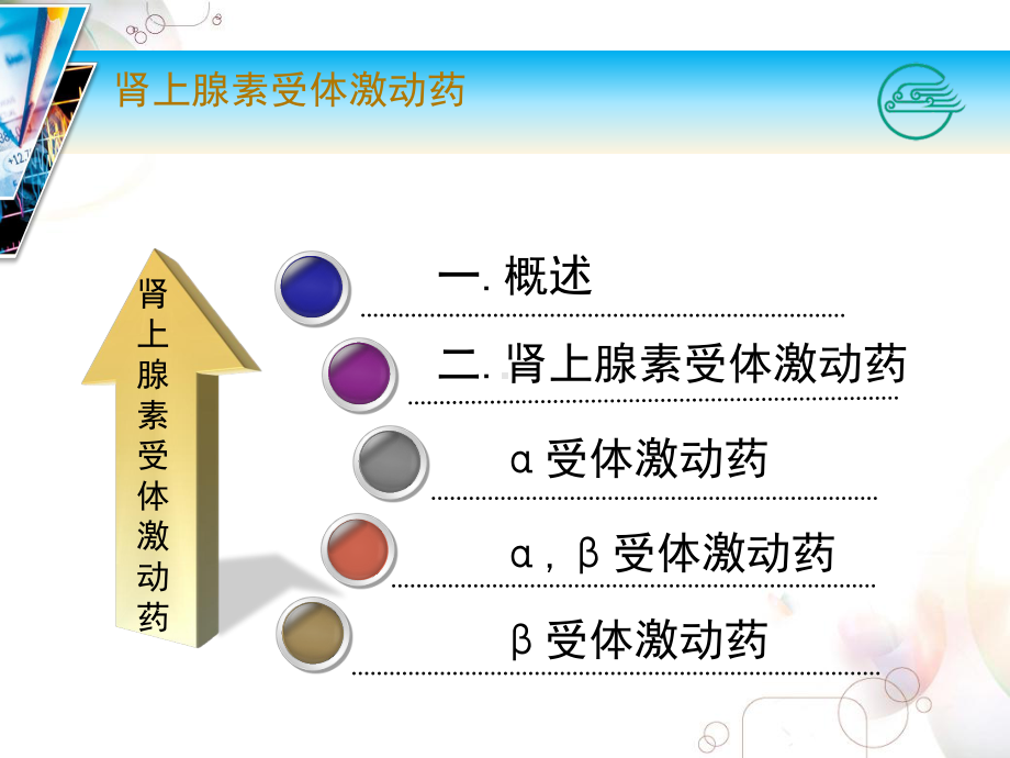 cd药理学课件8.ppt_第2页