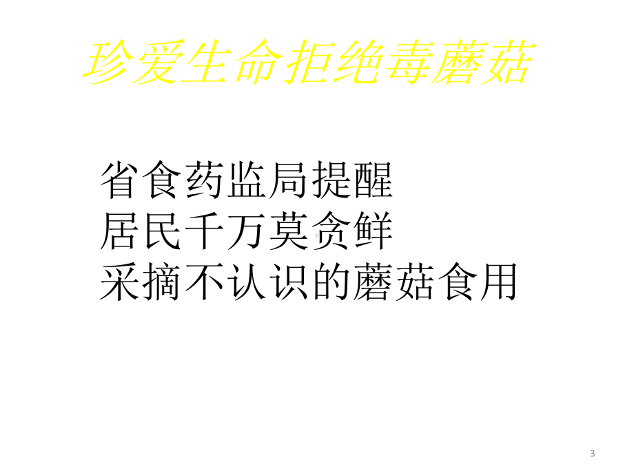 安全教育主题班会珍爱生命-拒绝毒蘑菇课件.ppt_第3页