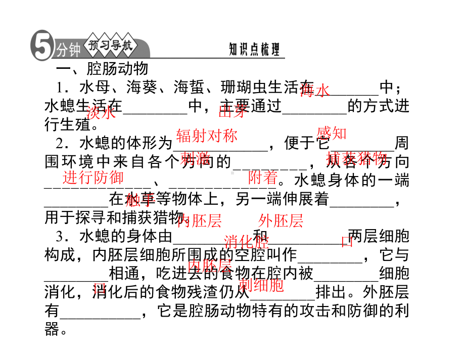 人教版八年级生物上册习题课件(全册).ppt_第2页