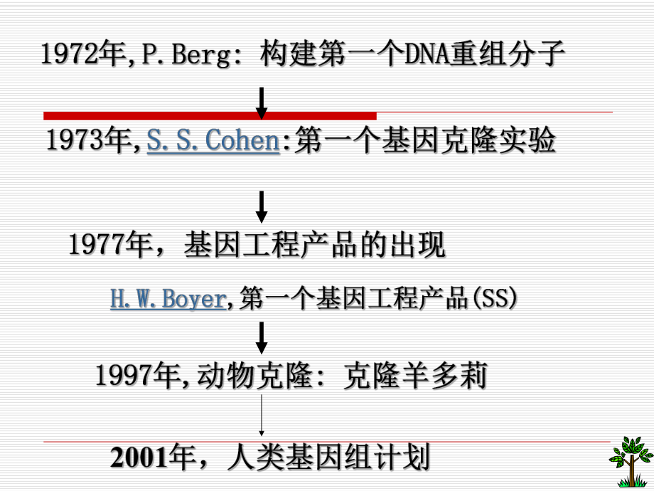 基因工程与基因体外表达培训课件.ppt_第3页