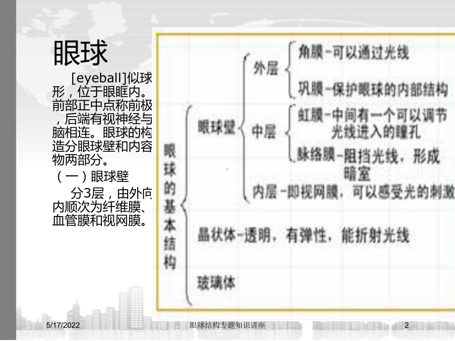 眼球结构专题知识讲座培训课件.ppt_第2页