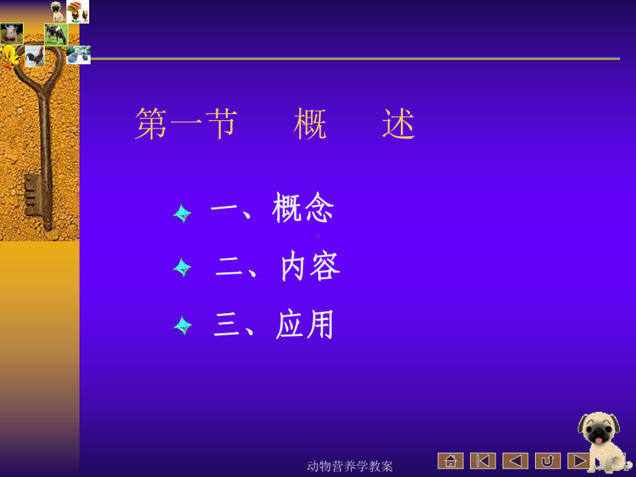 最新动物营养和饲料学主题讲座课件.ppt_第2页