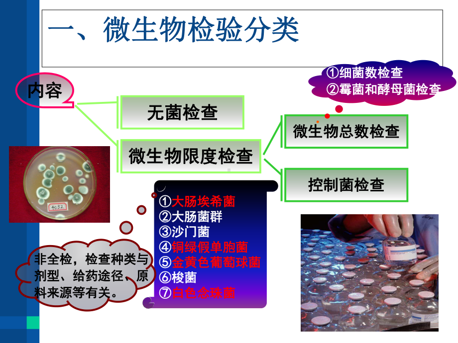 药物制剂微生物检验PPT培训课件.ppt_第3页