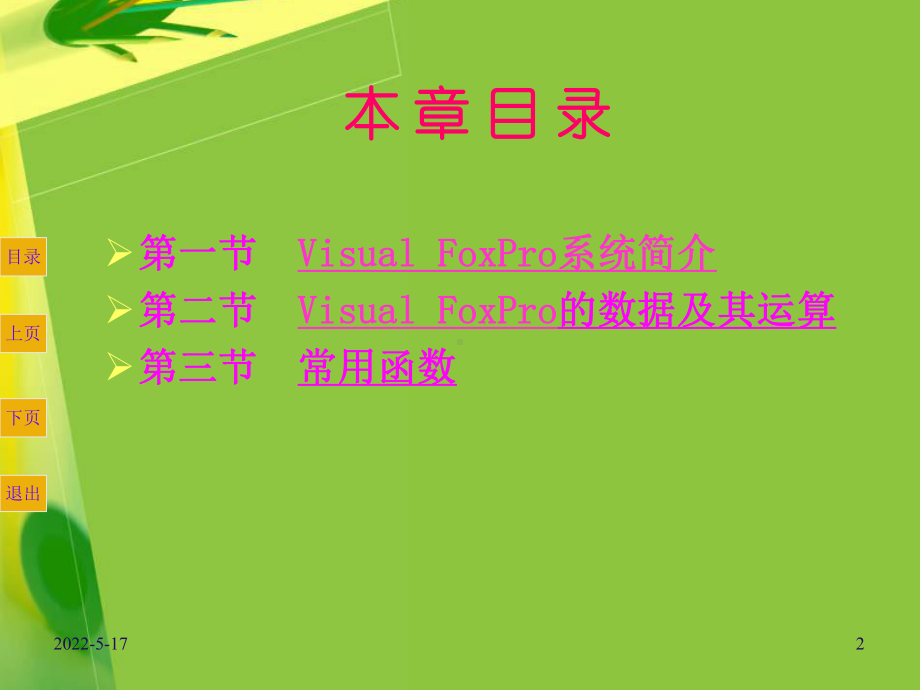 VFP-8.0-(第四版)课件-第二章.ppt_第2页