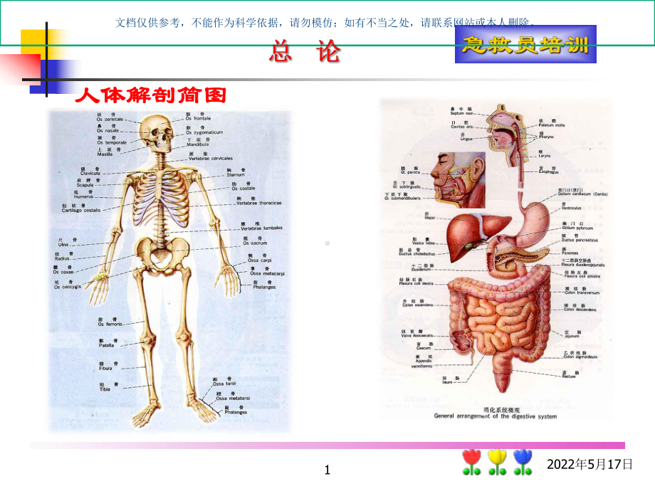 急救员培训急救常识课件.ppt_第1页