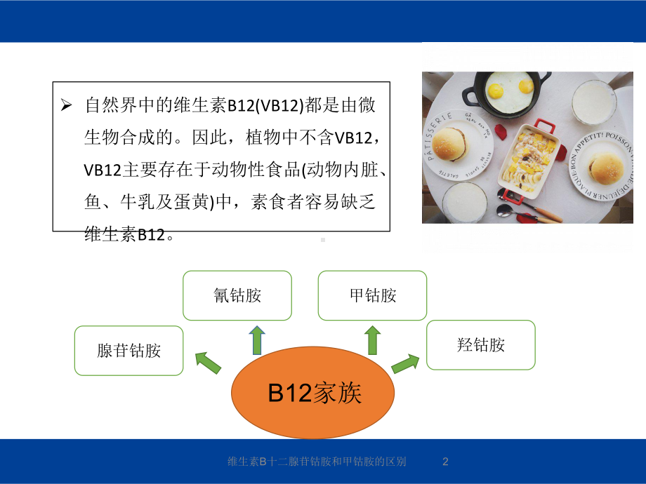 维生素B十二腺苷钴胺和甲钴胺的区别培训课件.ppt_第2页