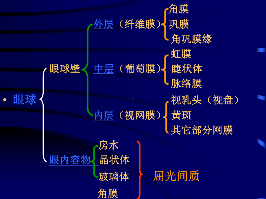 眼的解剖及生理-PPT课件.ppt_第3页