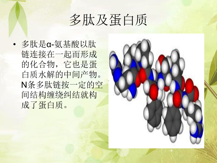 多肽类药物-PPT课件.ppt_第2页