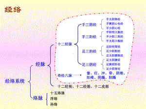 6手太阴肺经-PPT课件.ppt