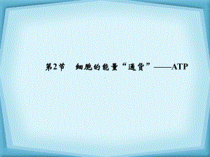 高效课堂同步课件：5-2细胞的能量“通货”(必修1).ppt