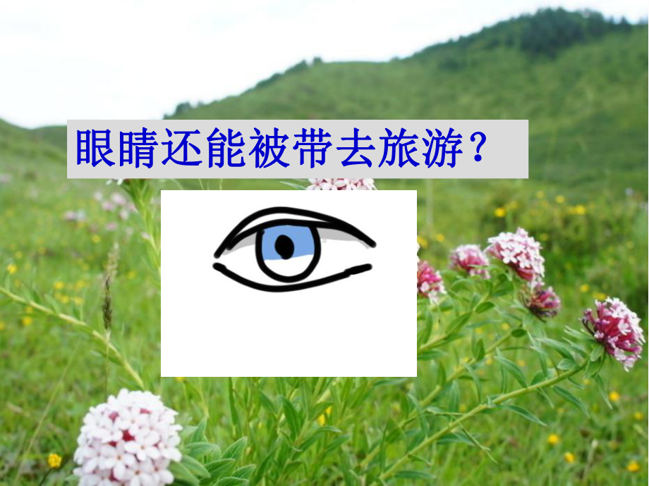 课件部编版《带上她的眼睛》.ppt_第2页