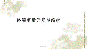 终端客户的开发与维护课件.ppt