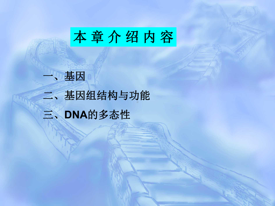 基因与基因组-PPT课件.ppt_第2页