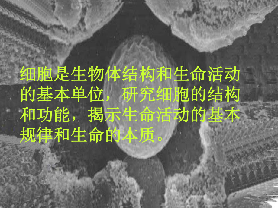 细胞膜的结构和功能课件.ppt_第1页