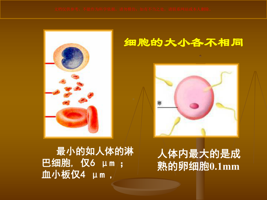 细胞膜的结构和功能课件.ppt_第2页