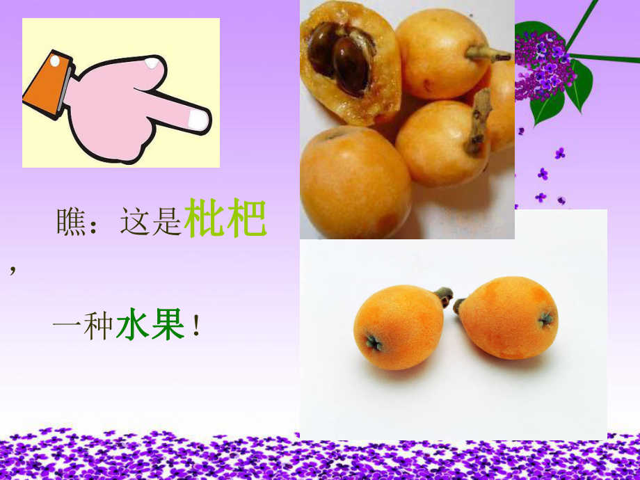 -枇杷和琵琶课件.ppt_第2页