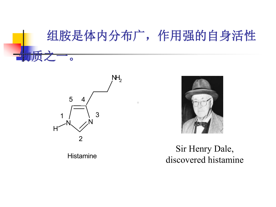 组胺-PPT课件.ppt_第2页