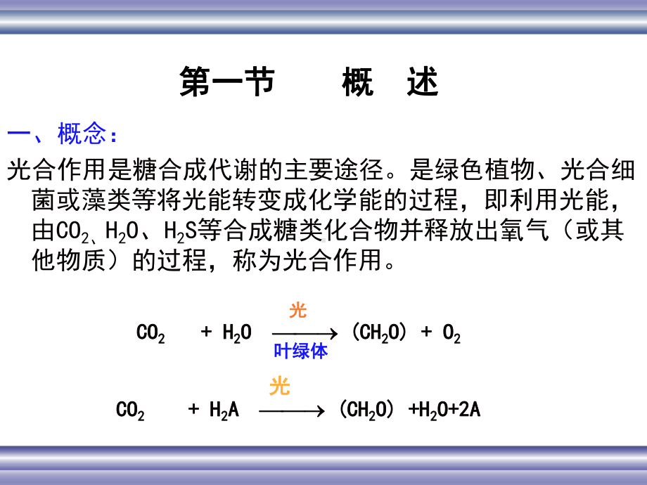 生物化学-光合作用ppt课件.ppt_第2页