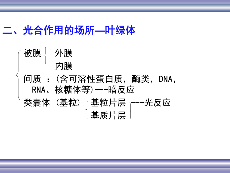 生物化学-光合作用ppt课件.ppt_第3页