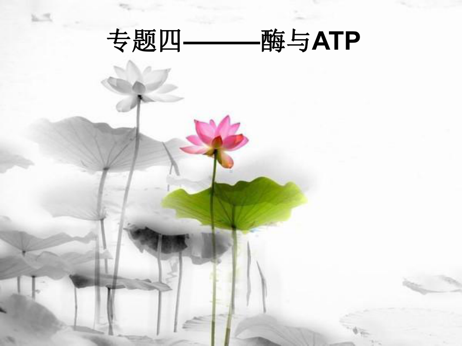 生物必修酶和ATP一轮复习课件.ppt_第1页